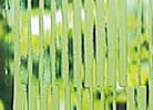 小條碼玻璃 Little Bar Code
