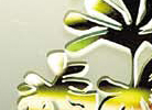 玉樹瓊花玻璃 Frosted Tress and Flowers