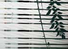 銀清風明月玻璃